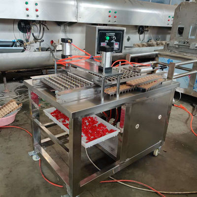 Hotels Kleine kommerzielle Süßwaren Hard Jelly Lollipop Gummy Candy Machinery