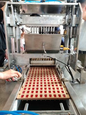 Vollautomatische Soft Hard Candy Making Machine mit 220V Stromquelle und Gießfunktion