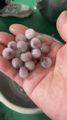 220V Multifunktionsmaschine zur Herstellung von Teebläschen