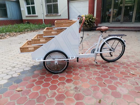 Video-Technischer Support angepasster Food Snack Truck Elektrofahrrad für Warmkostwagen