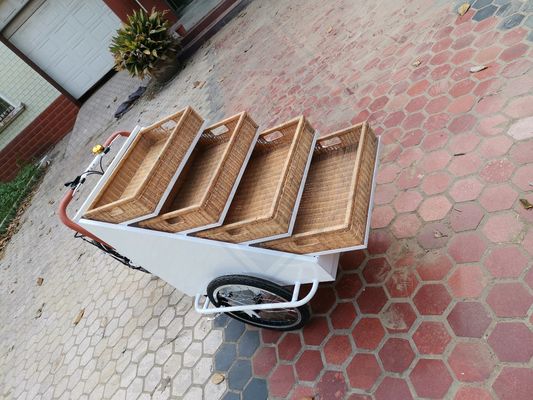 Video-Technischer Support angepasster Food Snack Truck Elektrofahrrad für Warmkostwagen