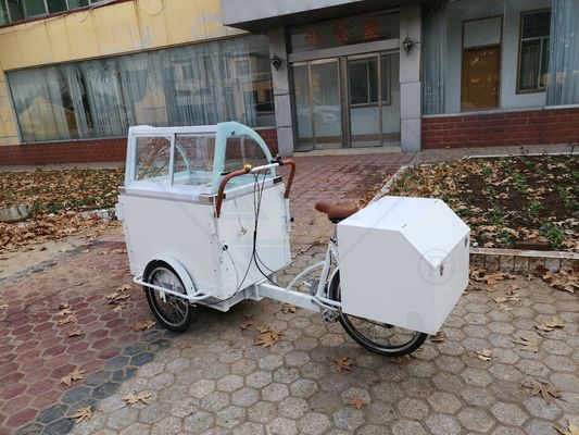 Elektrofahrrad für die Lieferung von Lebensmitteln Rohstoff Milchmaschinen Funktion Verkauf von Lebensmitteln