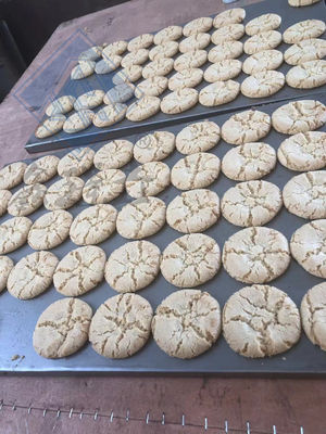 Industrielle Keks-Keks-Kracker-Verarbeitungsmaschine mit Multifunktionsfunktion