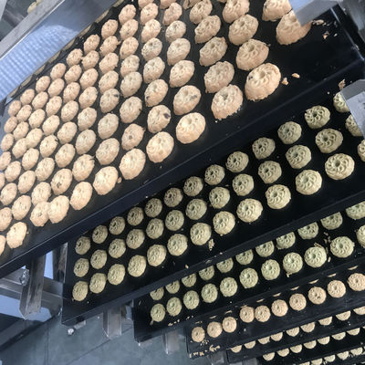 Vollautomatische Maschine zur Herstellung von weichen Walnussbiscuits mit unterschiedlicher Produktionskapazität