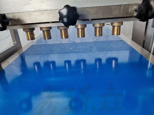 Maschine zur Herstellung von Silberkeks mit hoher Produktivität für Kundenanforderungen