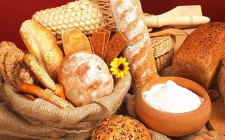 32 Schalen Rotationsgas Industriebacken Automatischer Ofen für Elektro-Keks Kuchenbrot