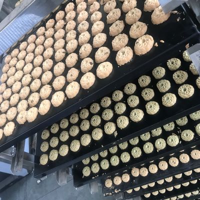 Erweiterte Maschine zur automatischen Herstellung von Walnusskuchen und Keksen für die Bäckerei