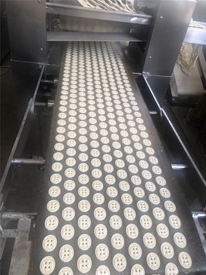 Biscuit-Making-Maschine Produktionslinie mit Tunnel-Ofen Mehrere Optionen auf dem Markt